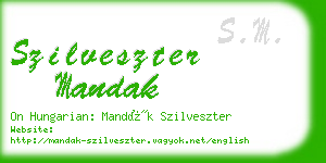 szilveszter mandak business card